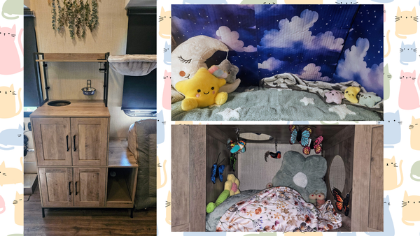 We turned our RV into a cat palace!