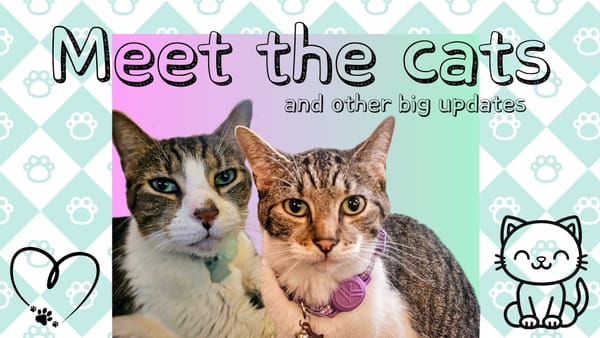 Livestream Scheduled: Meet the Cats (and Other Big Updates)