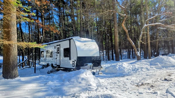 "We couldn't leave even if we wanted to!"